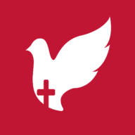 Aripi Spre Cer logo